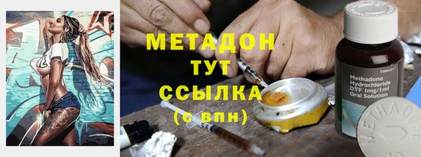 индика Вязьма